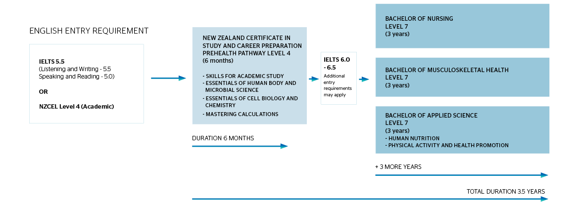 New Zealand Certificate in Study and Career Preparation – pre health pathway to the Bachelor of Nursing, Midwifery, Musculoskeletal Health, Applied Science